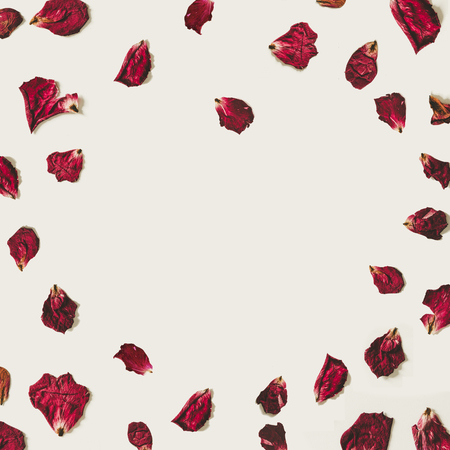 Heart shape rose petals, on white backgroundsの写真素材