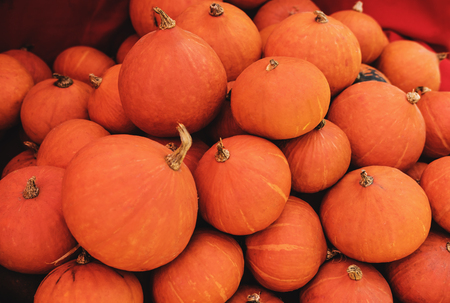 Pumpkins at the marketの写真素材