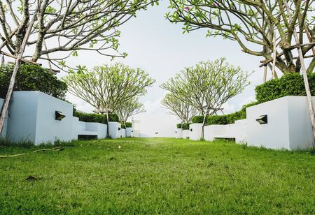 Modern garden on deck roof, green grass lawn with tropical treeの写真素材