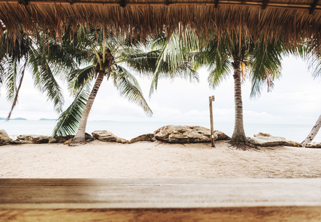 Tropical beach in summer, wood table top with blurred coconut trees, sand and the beach backgroundの写真素材