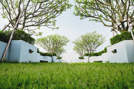 Modern garden on deck roof, green grass lawn with tropical treeの写真素材