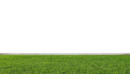 Green grass lawn, with white wallの写真素材