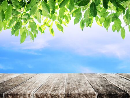 Wooden table with blue sky and green leaves backgroundの写真素材