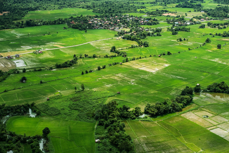 Landscaped high angle view of rice field in countryside Vang Vieng, Laosの写真素材