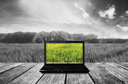 Computer laptop on wooden terrace with nature view background. Contrast colorful computer screen with black and white background. Clipping path on screenの写真素材
