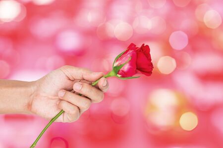 Hand holding rose flower, Pink Bokeh light background. Valentines presentの写真素材
