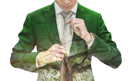 Double Exposure Businessman in Green Suit with Big Tree, isolated on white backgroundの写真素材