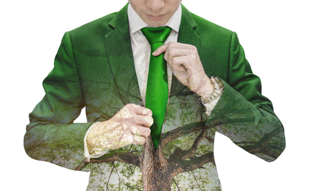 Double Exposure Businessman tying green necktie and Big Tree, isolated on white backgroundの写真素材