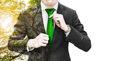 Double exposure businessman tying green necktie and big tree with sunlight, on white background with copy spaceの写真素材