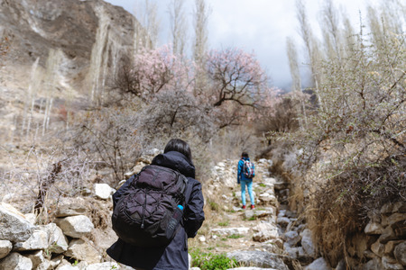 Traveller with backpack walking up the mountain in spring forestの写真素材