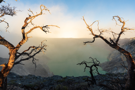 Dead trees and smoke with lake on Kawah Ijen volcanic, famous travel destination and tourist attraction in Indonesia in morningの写真素材