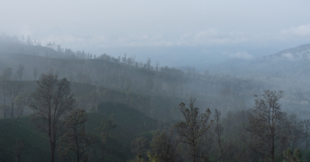 Air pollution, smog over forests near kawah Ijen volcanic in Indonesiaの写真素材