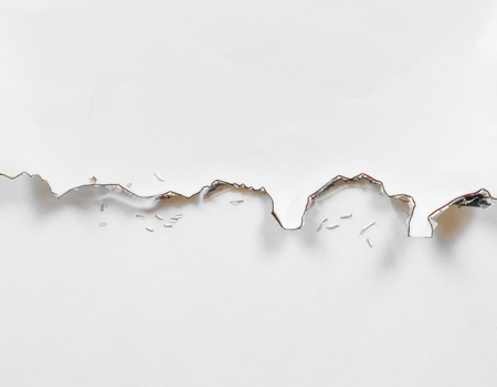 Paper burned on white backgroundの写真素材