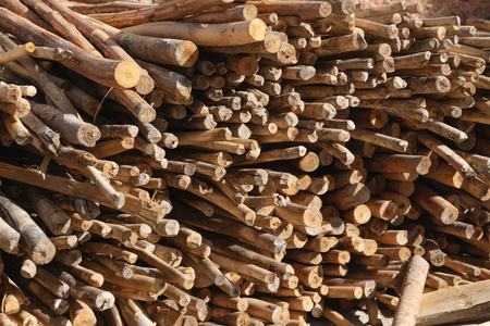 Piles of logs firewood, preparing for winterの写真素材