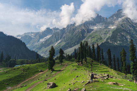 Travelling in summer, a man with backpack walking on meadow and pine forests with mountain view in the morning at Sonamarg, Jammu and Kashmir Indiaの写真素材