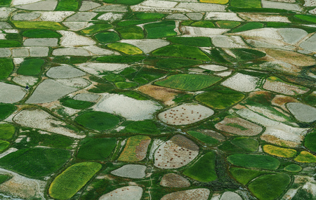 Aerial view landscape, Green rice field pattern in rural areaの写真素材