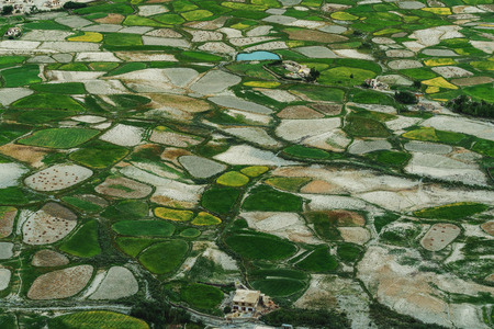 Aerial view landscape, Green rice field pattern in rural areaの写真素材