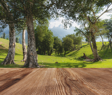 Natural forest landscape in the morning with wooden desk, for backgroundの写真素材