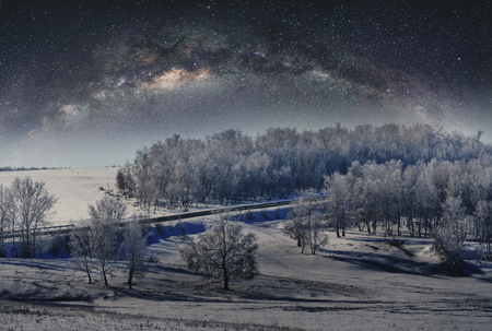 Winter landscape, forest covered by snow with sky full of starsの写真素材