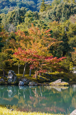 Autumn forests with pond in Japanの写真素材
