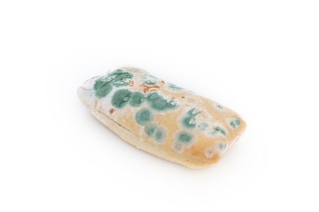 Old moldy bread on white backgroundの写真素材