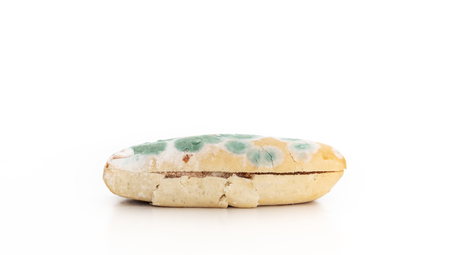Old moldy bread on white backgroundの写真素材