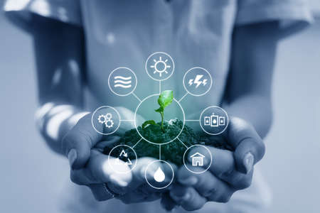 Clean energy and Natural energy resources. Woman hand holding sprout, with energy resource iconsの写真素材