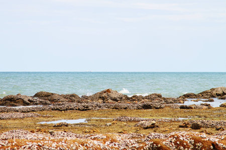 Thailand Beach in Summer Emerald Sea clear Sky stone shoreの写真素材