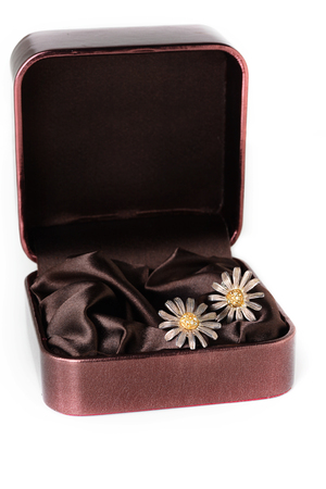 Earrings in the form of asterisks with a box on white background isolatedの写真素材