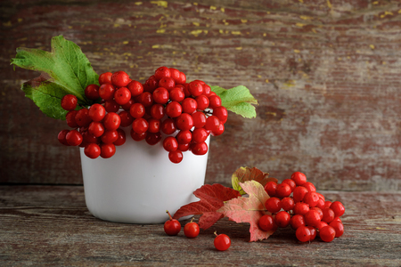 red rowanberry in a vase on a wooden backgroundの写真素材