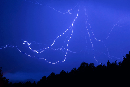 lightning in the form of a spider over the night forest. Silhouettes of trees against a background of a bright flash of lightningの写真素材