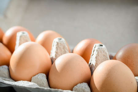brown eggs lined up in a row in a cardboard tray