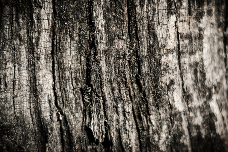 Wooden grunge texture background with soft focusの写真素材