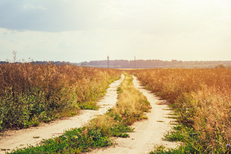 Empty countryside road through fields leading up to horizon line. Nature landscapeの写真素材