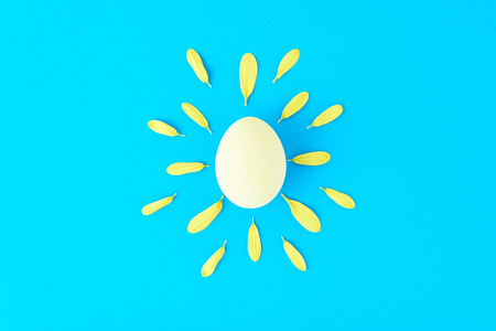 Creative concept made of chicken egg and flower petals like a sun on blue backgroundの写真素材