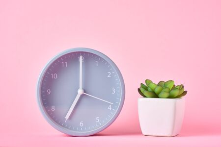 Alarm clock and plant in pot on pink background, closeupの写真素材