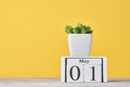Wooden block calendar with date May 1 and succulent plant in pot on yellow background. Labor Day...
