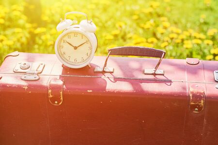 White vintage alarm clock and retro suitcase on grass with dandelion flowers in summer dayの写真素材
