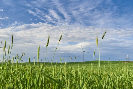 Wind turbine in the field. Wind power energy concept. Renewable energy for climate protectionの写真素材