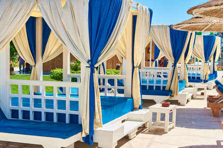 Cute puppy dog playing with wooden stick. Owner plays with dog. Pet careのeditorial素材