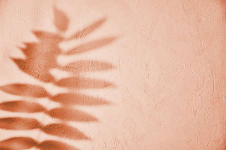 Leaf shadow on pink background. Creative abstract background. Nature shadow pattern