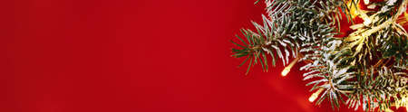 Christmas composition with christmas tree branch and garland lights on red background, top view