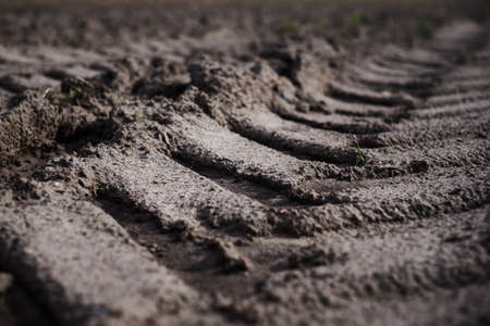 Trail track of a tractor on plowed fieldの写真素材