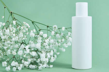 Beaty product package. Cosmetic bottle on pastel green background with plant leaves. Cosmetics mock upの写真素材
