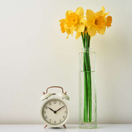 Vintahe alarm clock and narcissus flowers in vase on white background. Spring time. Saving time conceptの写真素材
