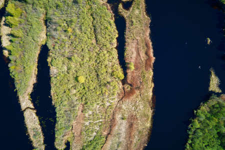 Aerial view of river floodplan and green forest in summer day. Bird eye view of beautiful nature landscapeの写真素材