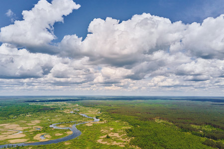 Aerial view of river floodplan and green forest in summer day. Bird eye view of beautiful nature landscape with blue cloudy skyの写真素材