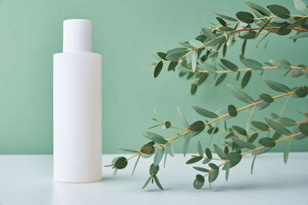 Beauty cosmetic product in white bottle on green background. Natural organic cosmeticsの写真素材