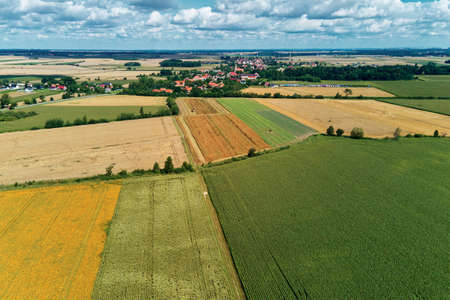 Aerial view of agricultural and green fields in countryside. Nature landscape in summer day, panoramaの写真素材