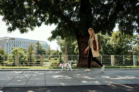 Woman walk with her dog at city street in summer dayの写真素材